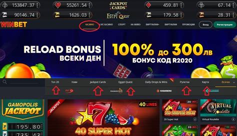 winxbet casino sitesi